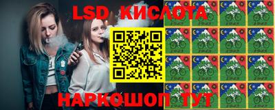гидропоника Кулебаки