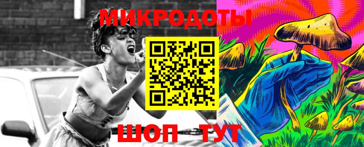 Галлюциногенные грибы Psilocybine cubensis Зеленокумск