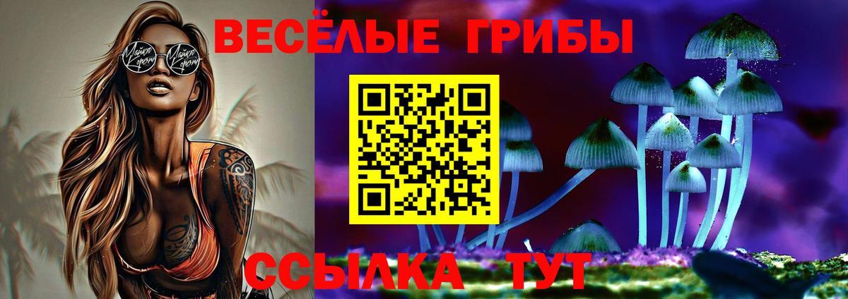 купить наркотик  Галлюциногенные грибы прущие грибы  Зеленокумск  Вход с VPN  Псилоцибиновые грибы Magic Shrooms 